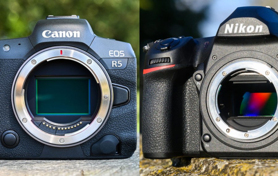 Are Mirrorless Cameras Better