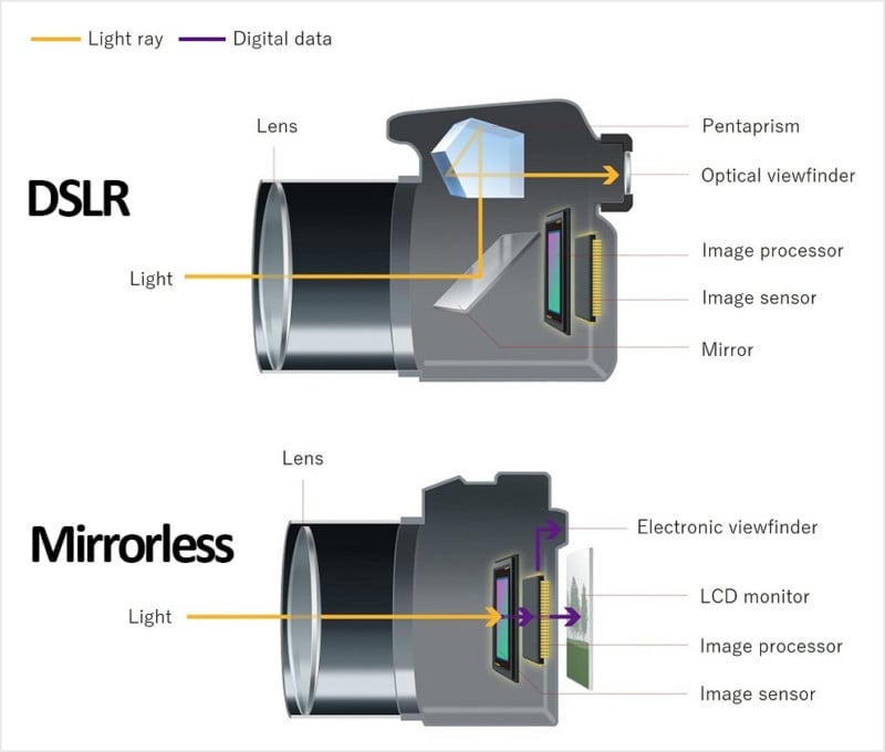 How Does a Mirrorless Camera Work