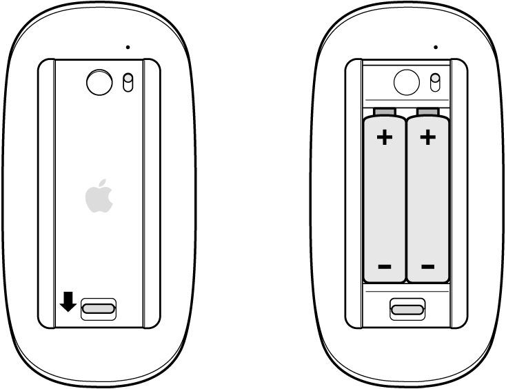 How to Change Batteries in Apple Mouse